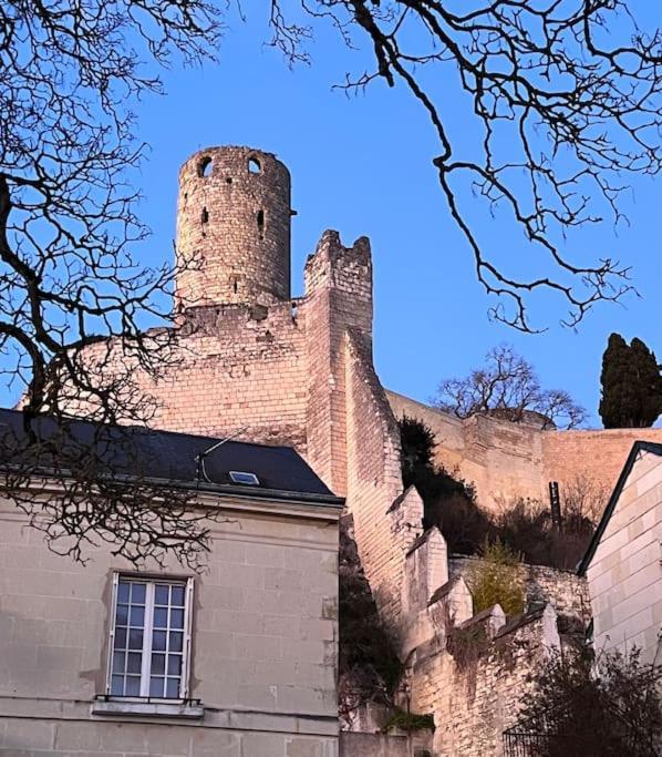 La Tour De L Horloge, Appt Typique A 500M Du Chateau 시농 외부 사진