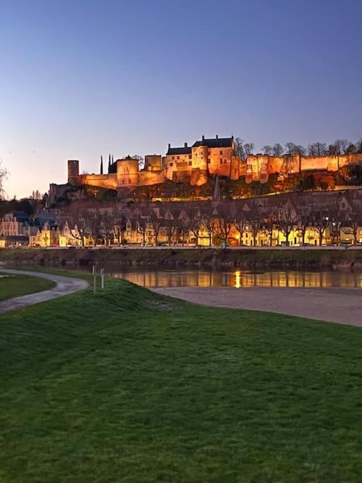 La Tour De L Horloge, Appt Typique A 500M Du Chateau 시농 외부 사진